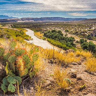 Desert landscape in Texas.