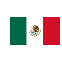 Mexico Flag Logo