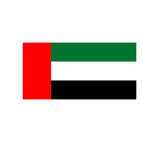 UAE Flag Logo