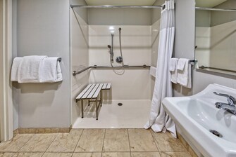 Guest Bathroom with Roll-In Shower