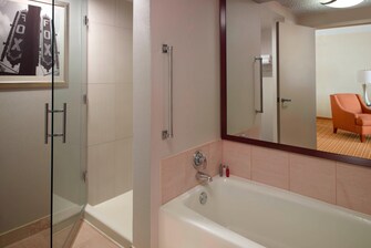 Suite Bathroom - Shower & Tub