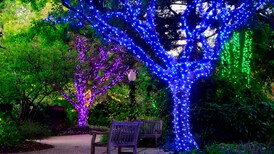 Holiday Lights, Garden Nights at the Atlanta Botanical Garden