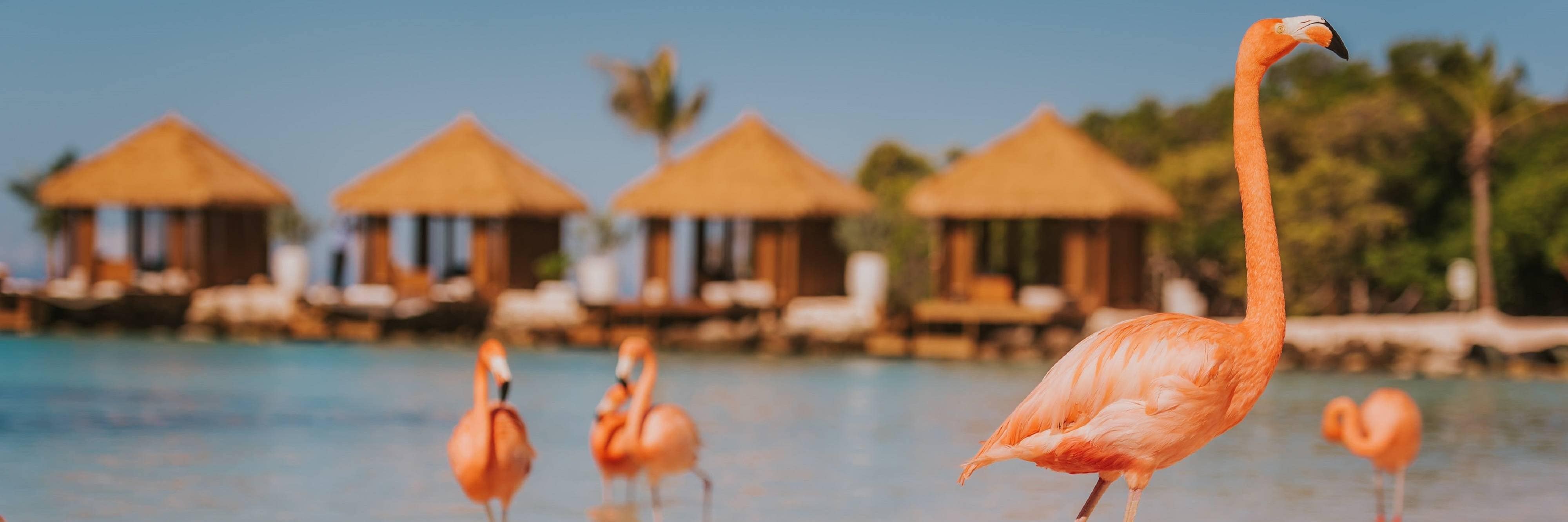 Playa Flamingo