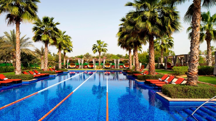 Outdoor pool divided into swimming lanes surrounded by palm trees and lounge chairs.