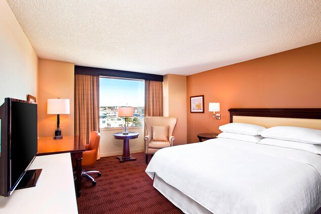 King Guest Rooms