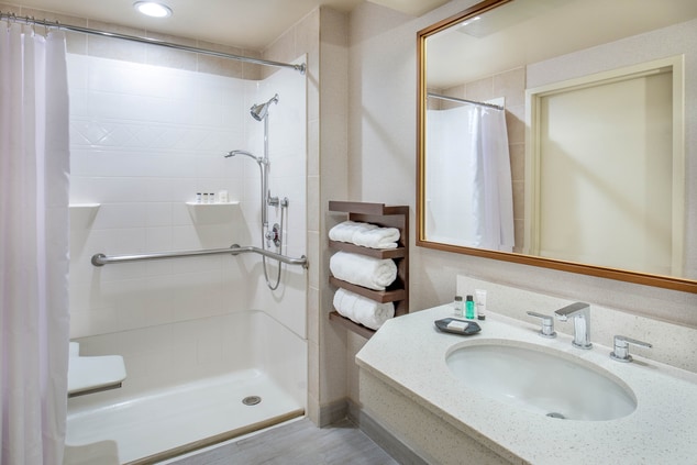 ADA Bathroom with Roll In Shower