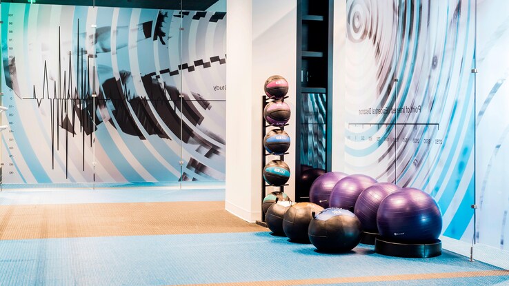 Fitness center with exercise balls and mural artwork.