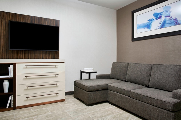 Suite - Living Area