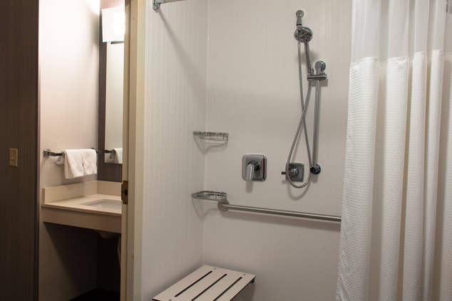 Accessible Bathroom - Roll-in showers