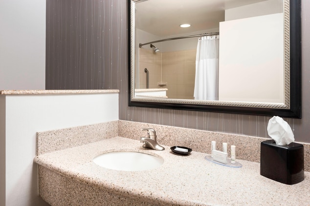 Guest Bathroom Vanity/Amenities Columbia MO