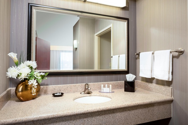 Guest Bathroom Vanity and Mirror