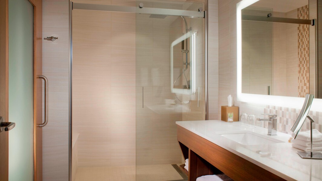 킹침대 트래디셔널 디럭스룸 욕실 - 대형 샤워실
