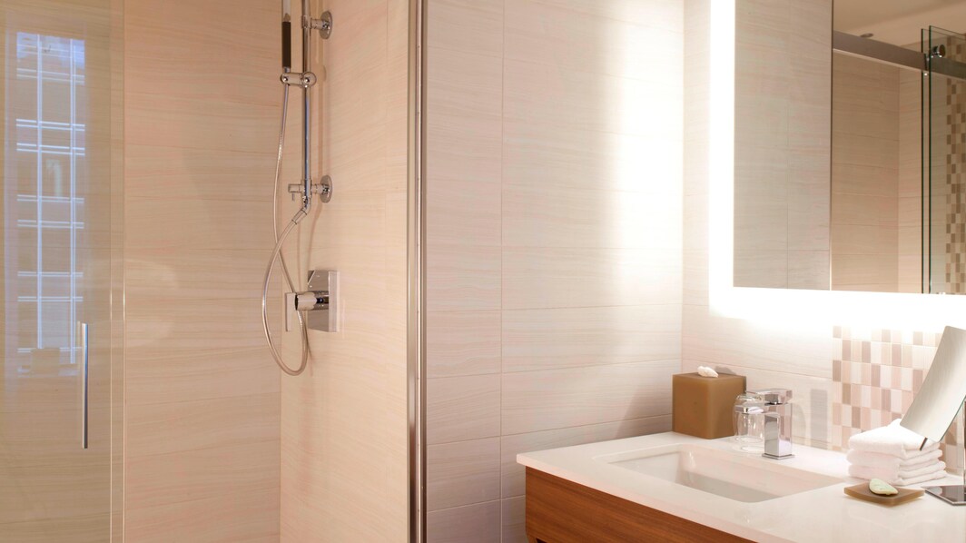 Ванная комната в номере Traditional/Deluxe с двуспальной кроватью (King) – безбарьерный душ