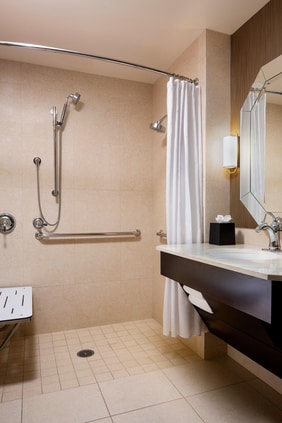 Accessible Guest Room Bathroom - Roll-In Shower
