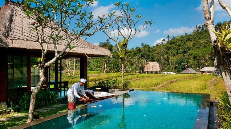 One-Bedroom Rice Field Pool Villa
