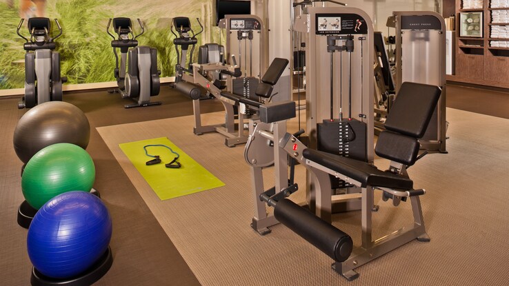 Fitness center with ellipticals and weights and exercise balls.