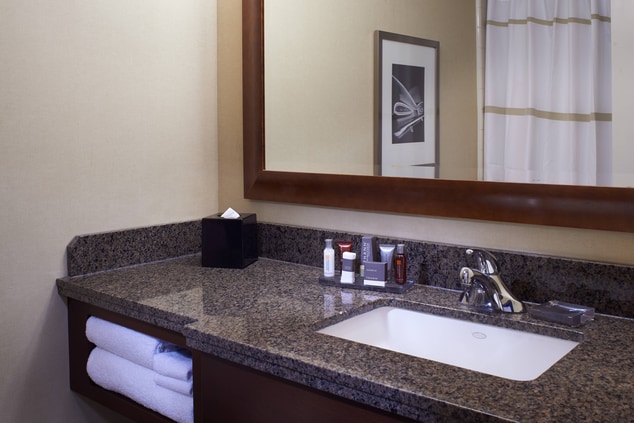 Detroit Hotel Suite Bathroom