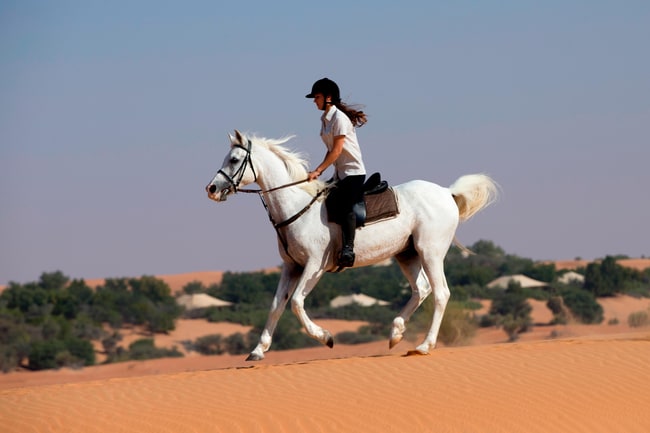 Desert Activities - Horse Riding