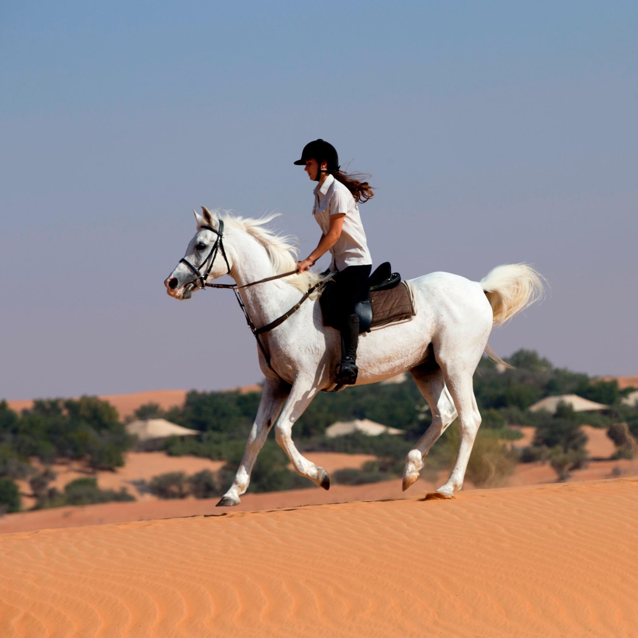 Desert Activities - Horse Riding