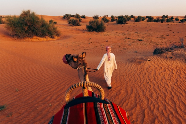 Desert Activities - Camel Trek