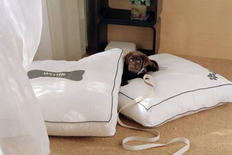 The Westin Heavenly Dog Bed