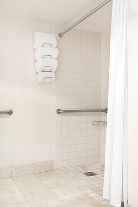 Accessible Bathroom with Roll-in Shower