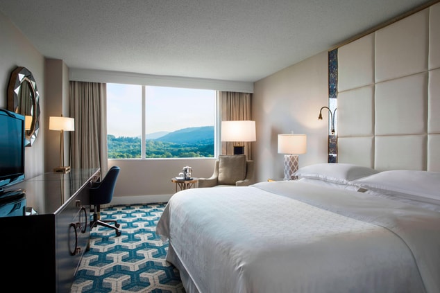 King Guest Room - Mountain View