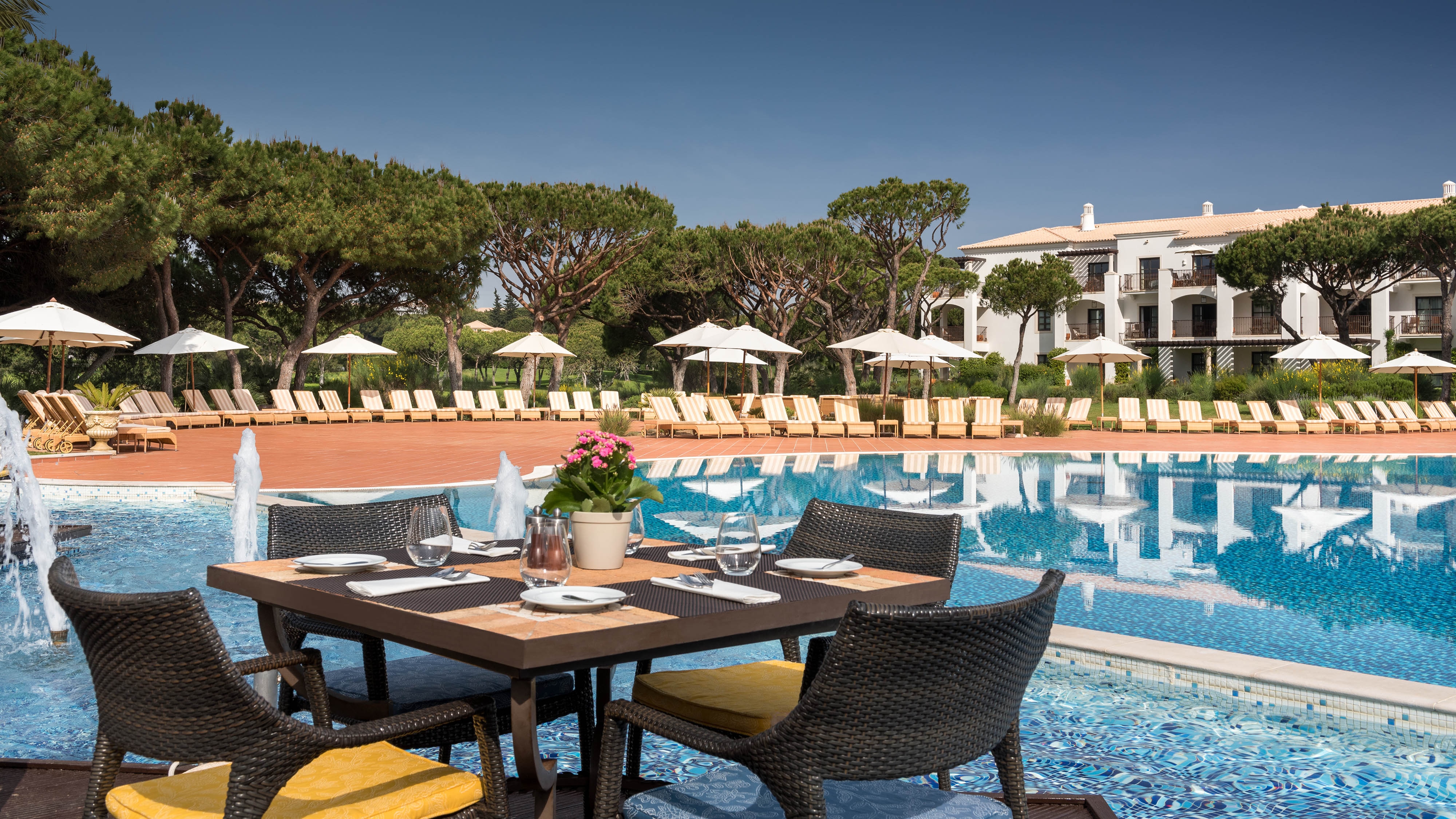 Half Board Offer