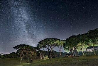 Observação de estrelas perto dos pinheiros