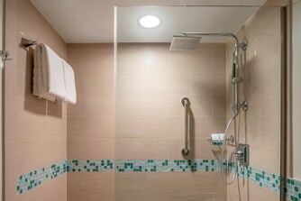 Guest Bathroom Walk-In Shower