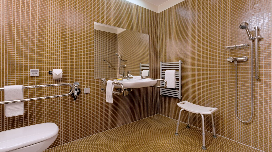 Accessible Guest Room - Bath