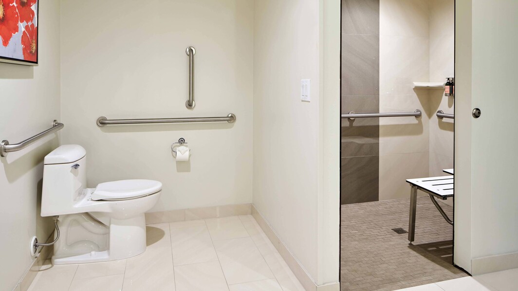 Baño con instalaciones para personas con necesidades especiales de la suite Penthouse - Ducha con acceso para sillas de ruedas