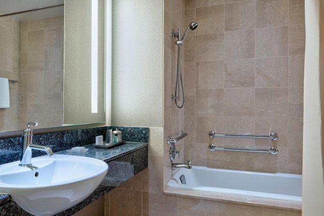 Guest Bathroom - Shower/Bathtub Combination
