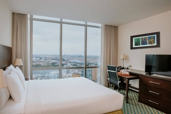 King Guest Room - View