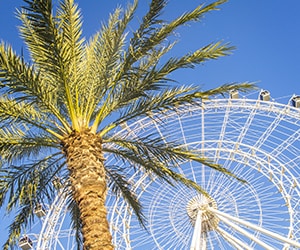 The Orlando Eye - near Gaylord Palms Resort