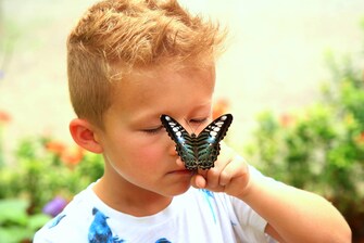Merlin Butterfly Sanctuary – Schmetterlings-Tour