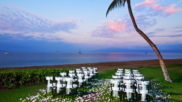 Ocean front lawn with rows of chairs and flower petals set for wedding ceremony.