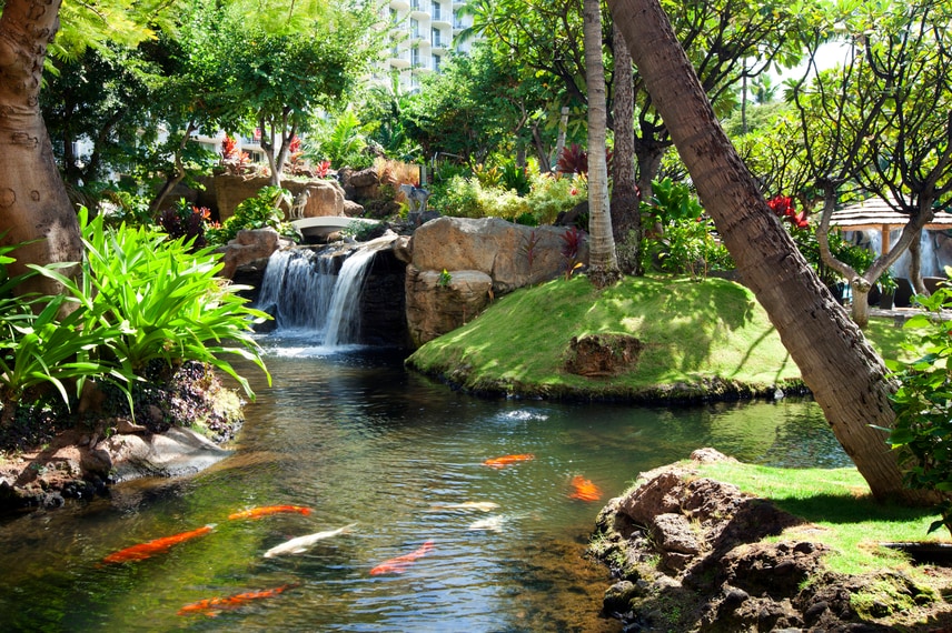 Koi Pond and Gardens