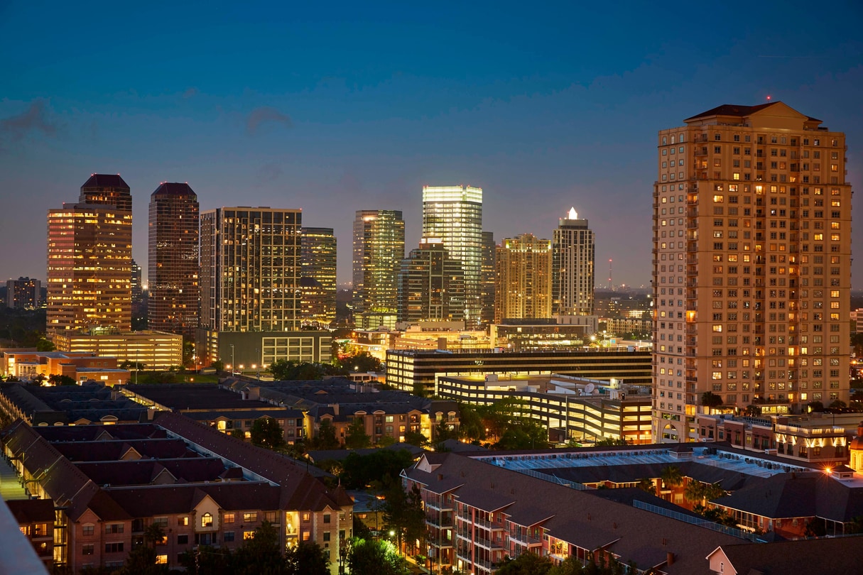 Houston Skyline View 