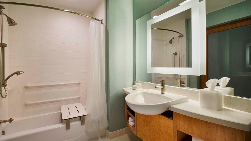 Baño con acceso para personas con necesidades especiales del hotel en el centro de Houston