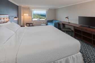 King City View Guest Room