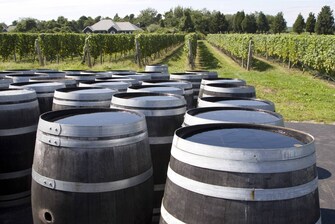 Vignes et barriques de vin du Niagara
