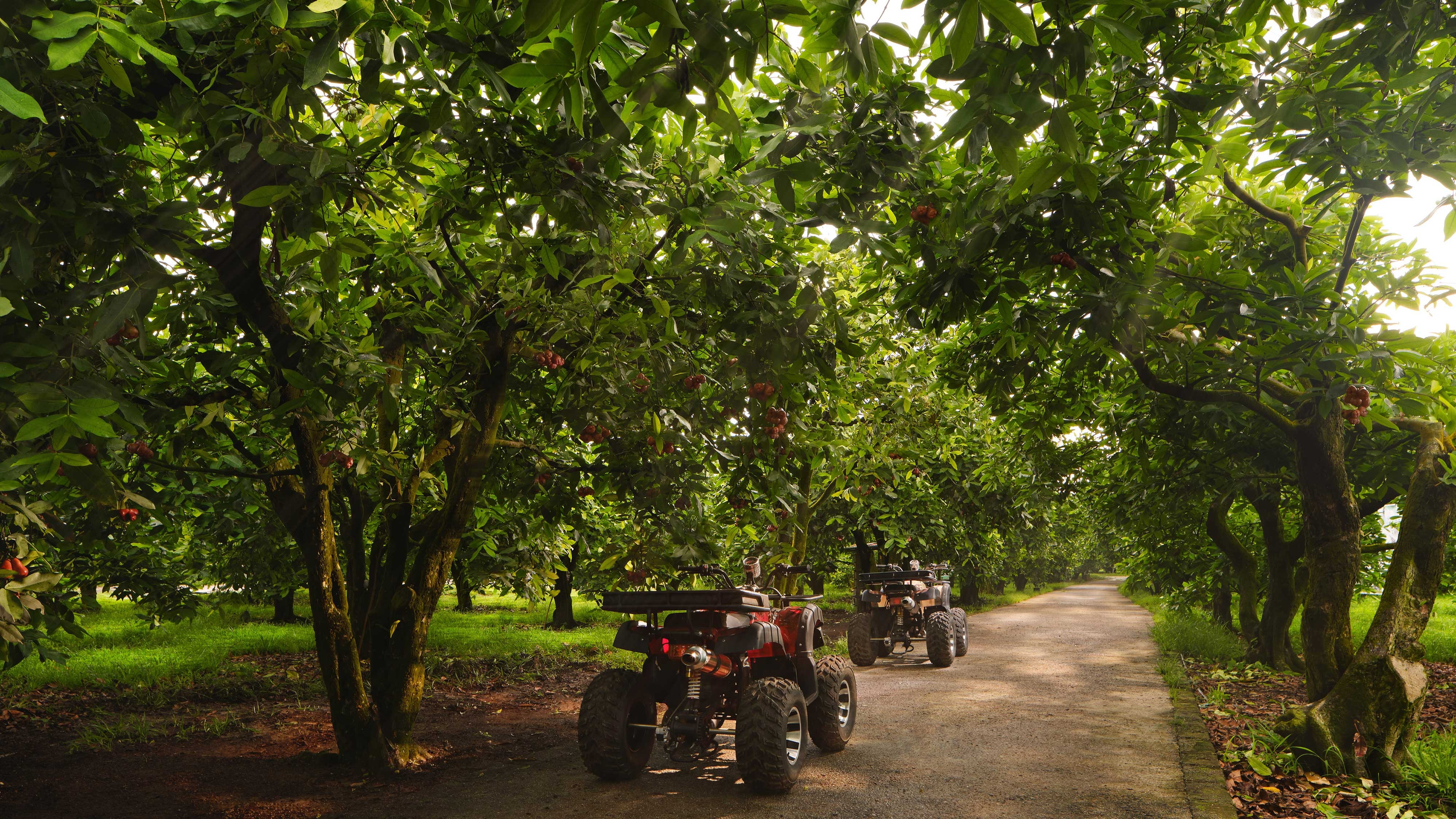 Discover Desaru Coast