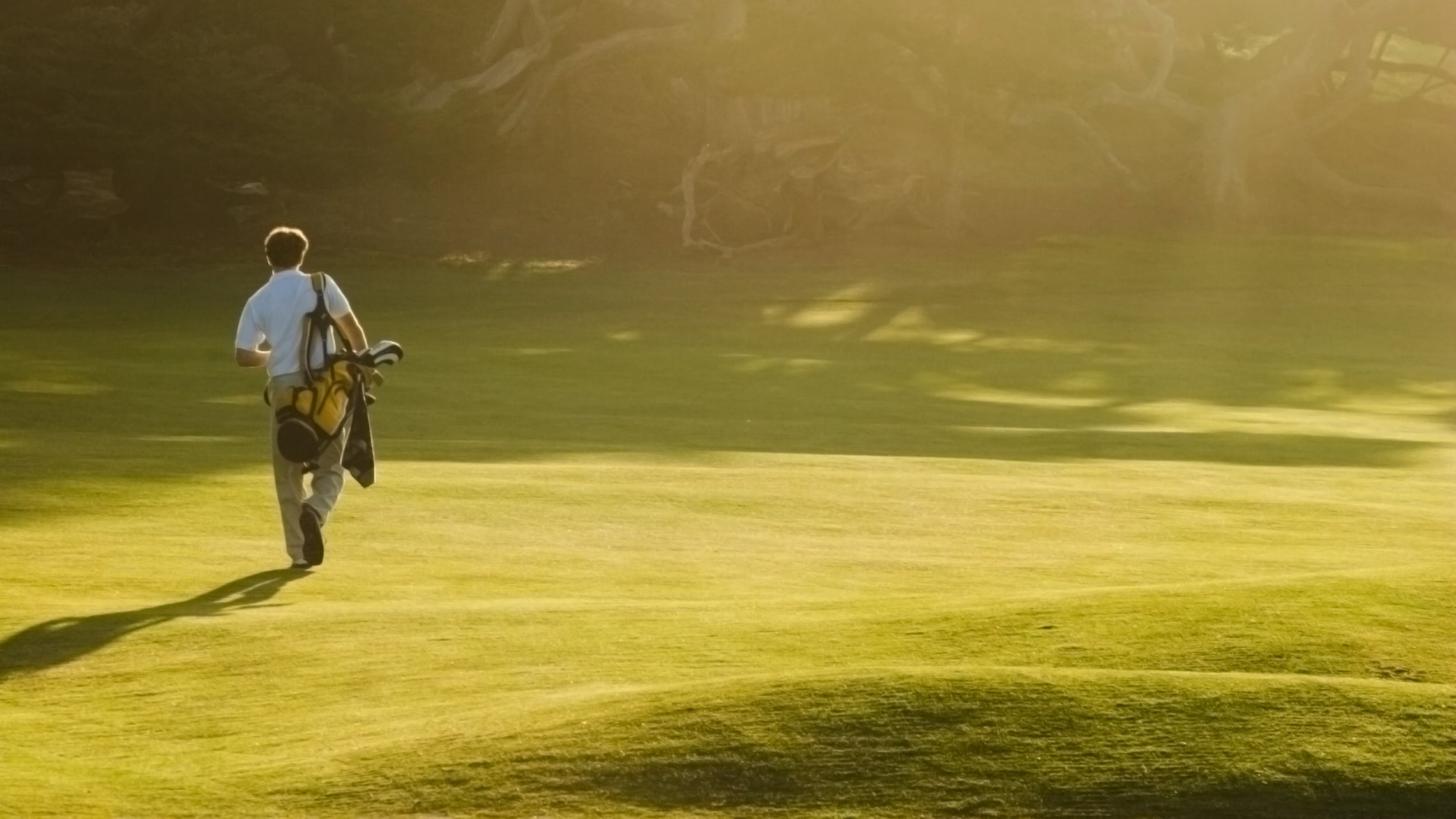 JW Marriott business hotels feature golf courses