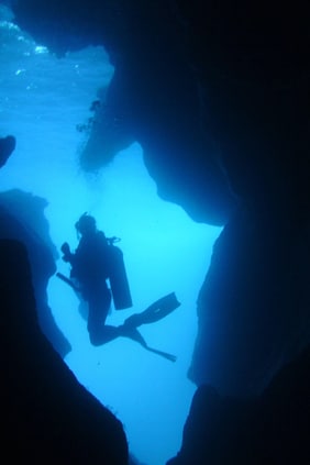 La mer Navarino - plongée sous-marine