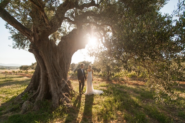 Séance photo de mariage sous les oliviers