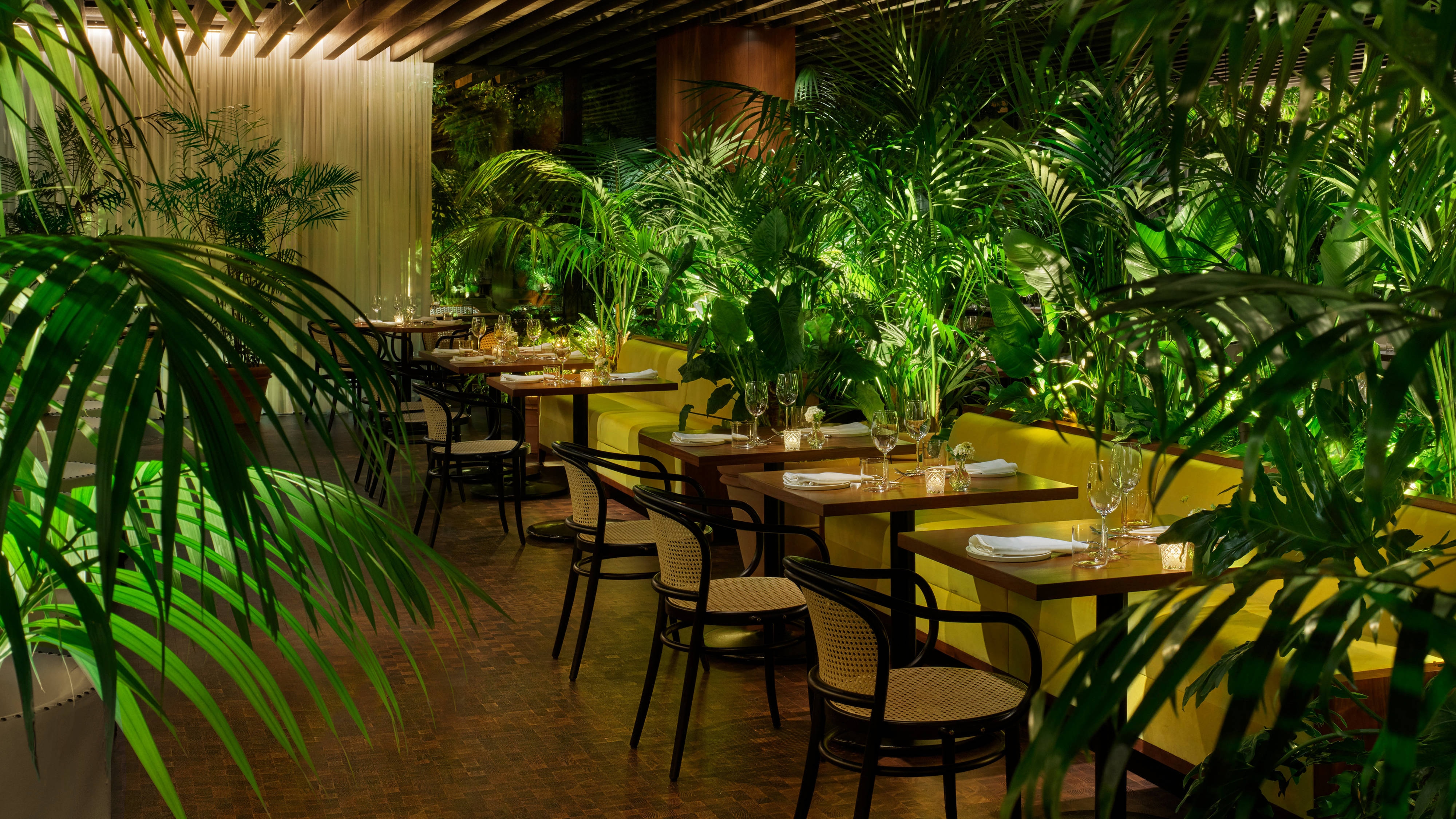 Dining Elevated to an Art Form