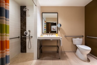 Baño de la habitación Deluxe con instalaciones para personas con necesidades especiales - Ducha con acceso para sillas de ruedas