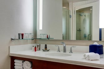Executive King Guest Room Bathroom