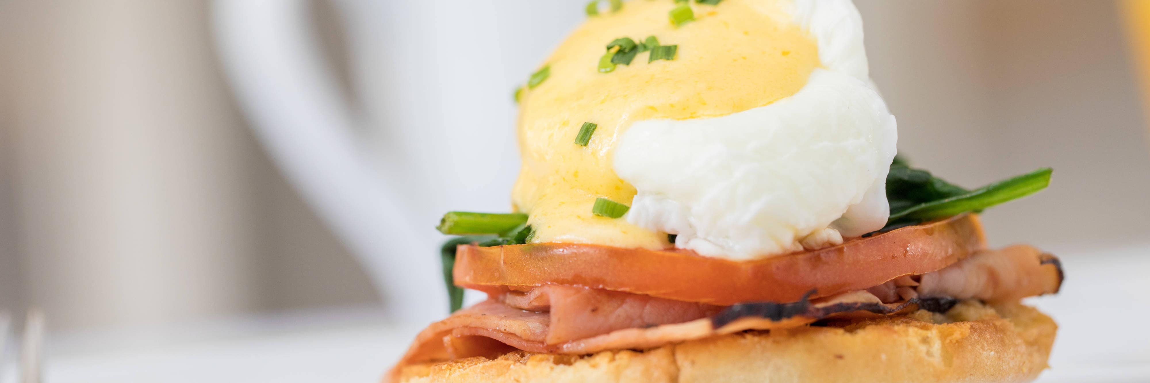 Garden Bistro - Castle Benedict Garden Bistro - Castle Benedict